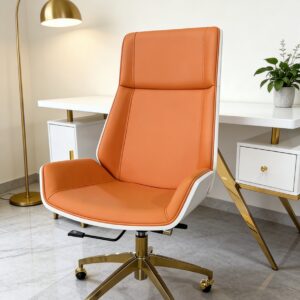 WechatIMG23514 Fotel biurowy regulowany – elegancja i komfort
